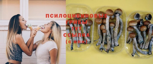 таблы Арсеньев