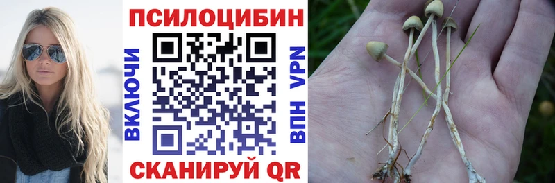 Псилоцибиновые грибы Magic Shrooms  сайты даркнета клад  Моршанск 